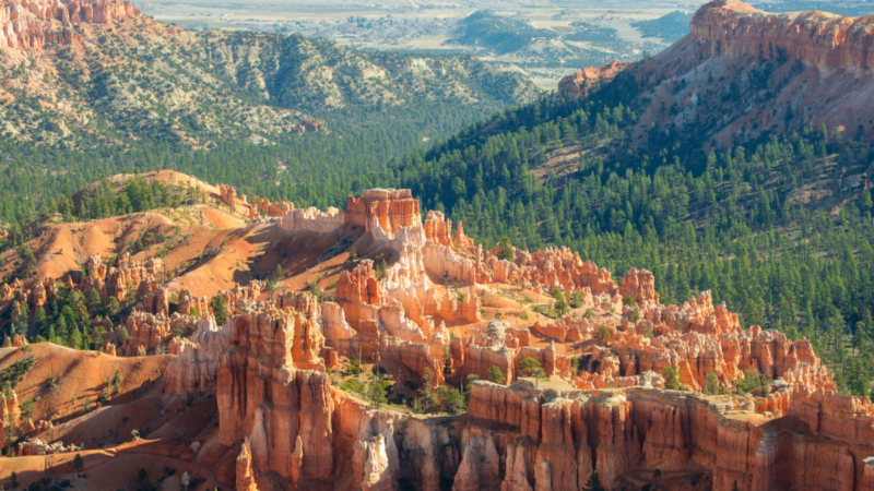 Tragic Hiking Accident in Bryce Canyon Claims Senator’s Husband’s Life
