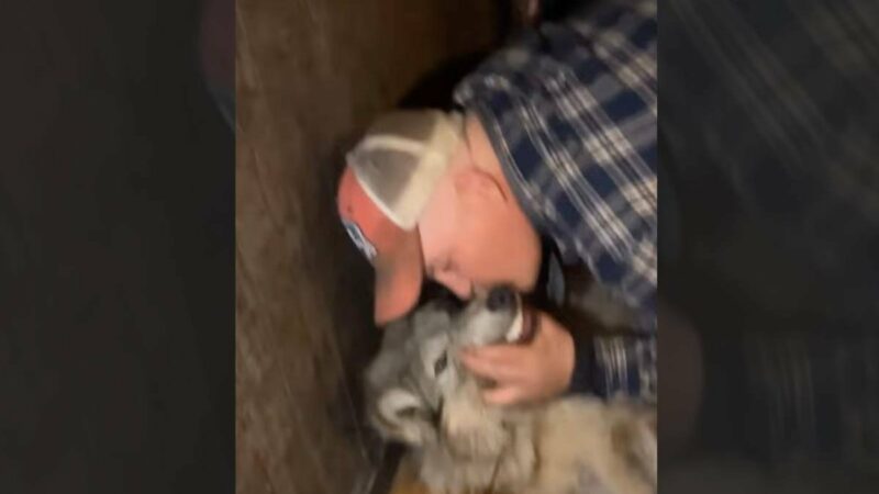 Video Shows Man Kissing the Dying Wolf He Tortured in Wyoming Bar