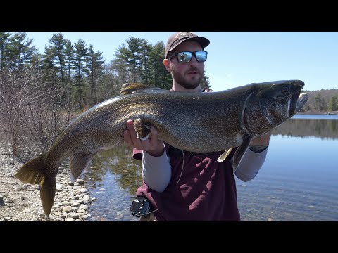 Watch: Massachusetts Angler Catches Potential Record Lake Trout from Shore