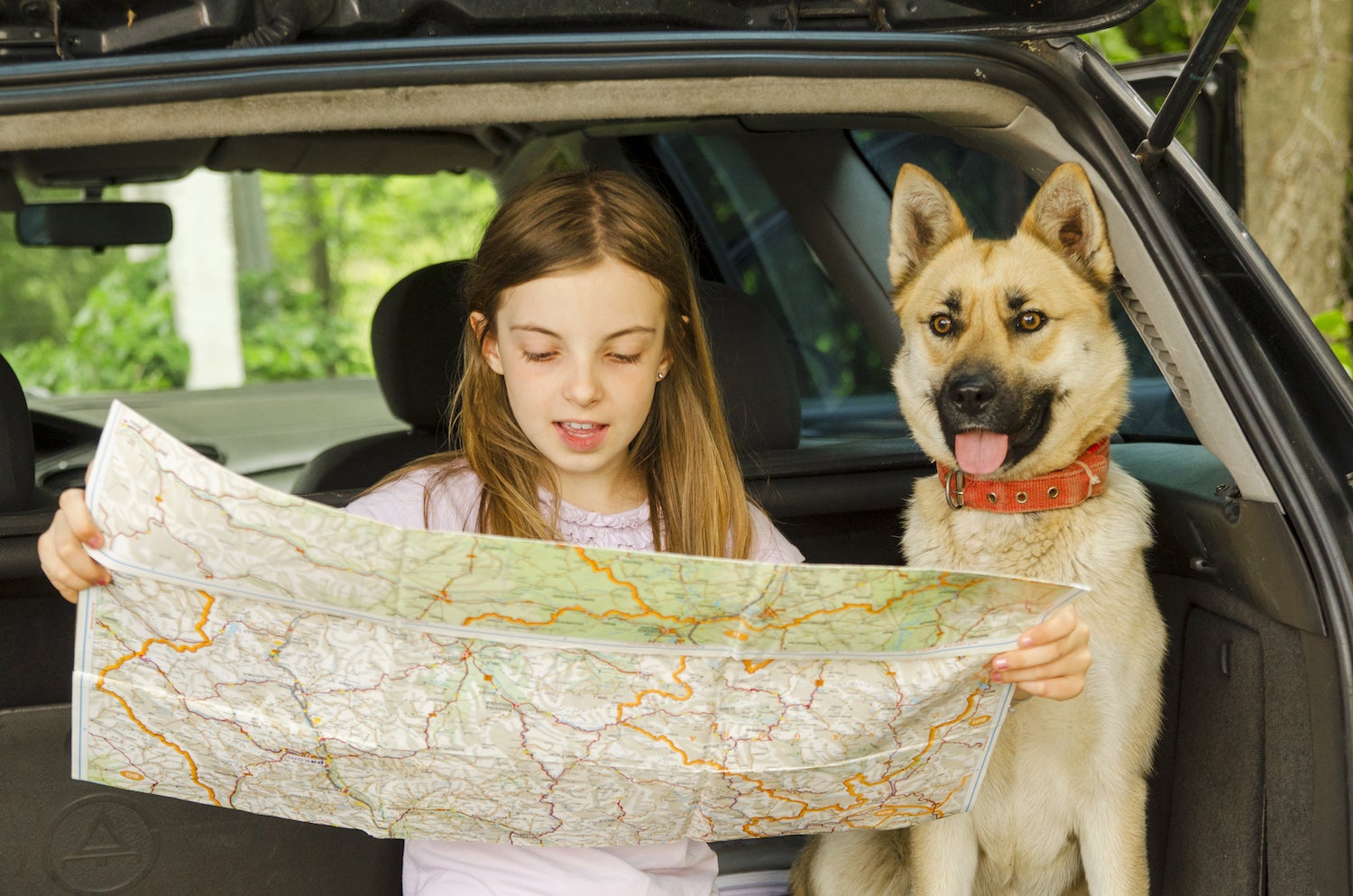 young girl reads map in car with dog on leave no trace trip