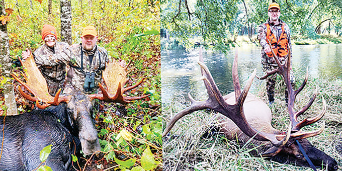 What to know about moose and elk lotteries coming up in Kentucky, the northeast – Outdoor News