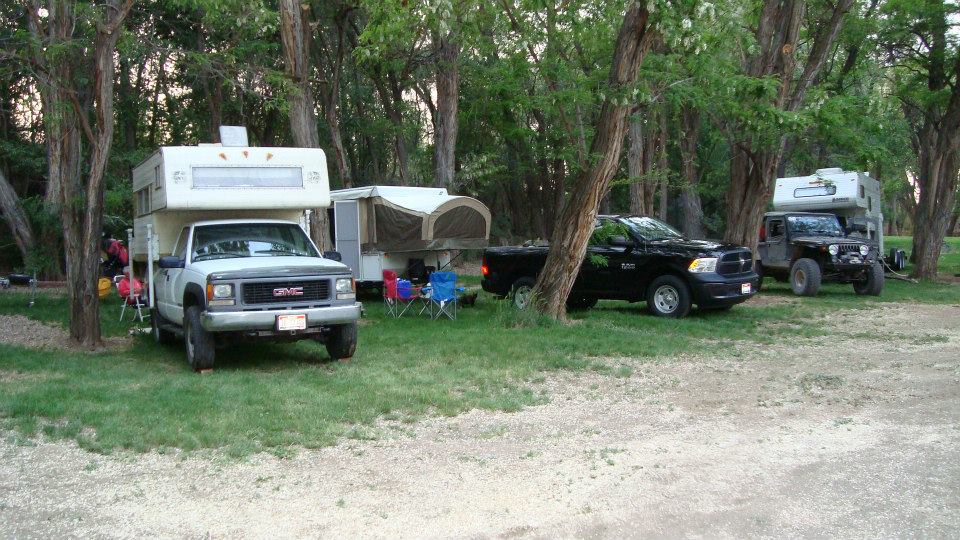 rvs parked in between trees