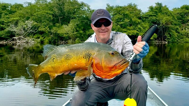An Amazon adventure leads to massive fish for Minnesotans – Outdoor News