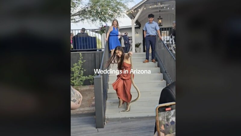 Bride’s Sister Turns Snake Wrangler at Arizona Wedding
