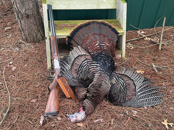 Christine Thomas: Luck is a lady in the turkey woods – Outdoor News