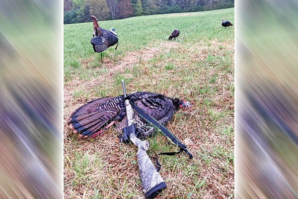 Dan Ladd: I’m sold on the .410 for turkeys – Outdoor News