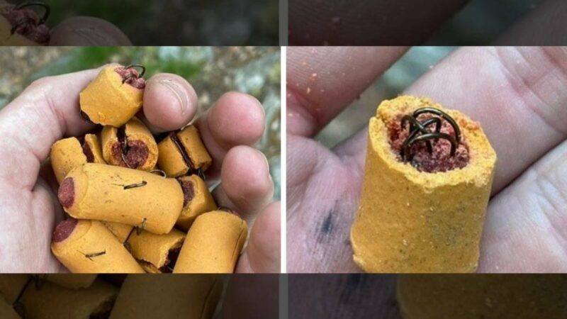 Dog Treats Laced With Fish Hooks Found on the Appalachian Trail