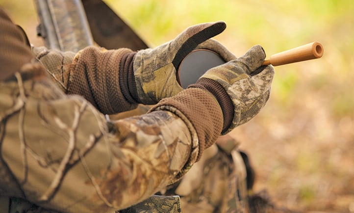 Getting pushy with toms: Here’s when and how to call aggressively for turkeys – Outdoor News