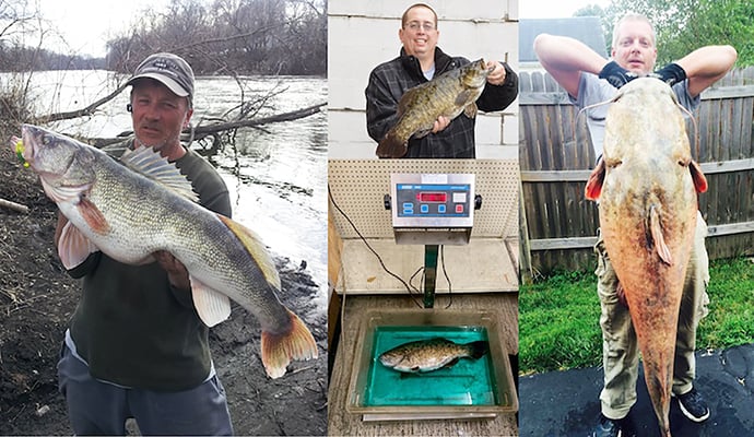 Important steps are required to land in Illinois’ fishing record book – Outdoor News