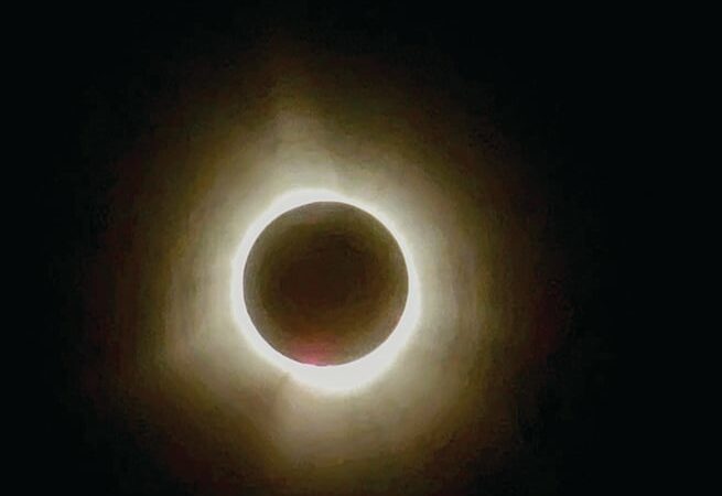 Jeffrey Frischkorn: Ohio wildlife didn’t know what to make of eclipse – Outdoor News