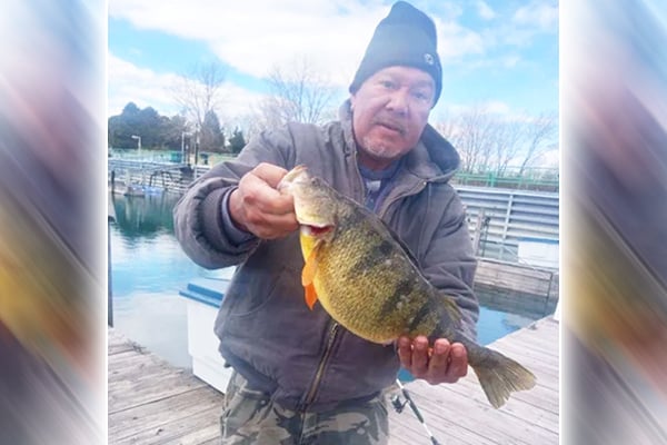 Lake Michigan yellow perch shatters Indiana record – Outdoor News