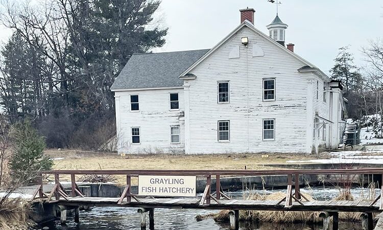 Michigan’s Grayling Fish Hatchery has been operating since 1919 – Outdoor News