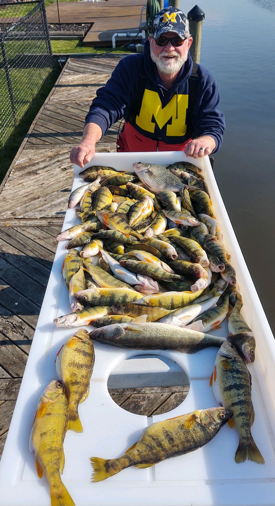 A man in a Michigan sweatshirt with a table of yellow perch and other fish to fillet.