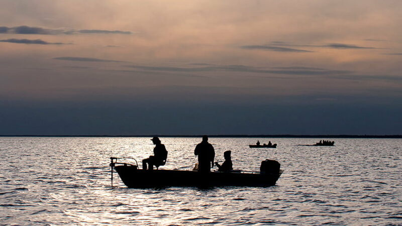 MN Daily Update: Examining fishing license sales so far this year – Outdoor News