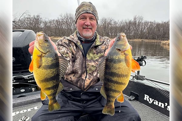 MN Daily Update: Great jumbo perch fishing on the Mississippi River – Outdoor News