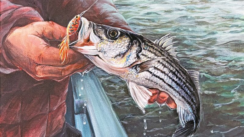 New York high school student from Westchester County earns top annual Fish Art Contest honor – Outdoor News