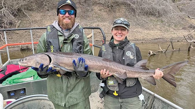 Patrick Durkin: Show folks a sturgeon, they’ll tell you a story – Outdoor News