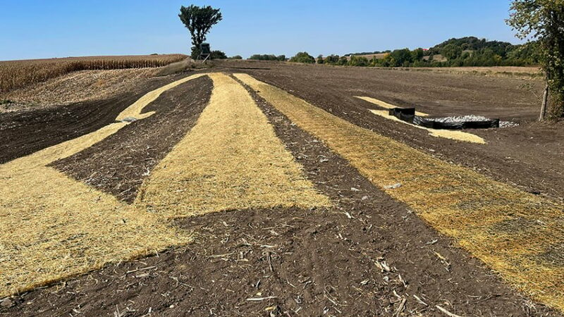 Redwood River project in southwestern Minnesota saves soil, strengthens flood control – Outdoor News