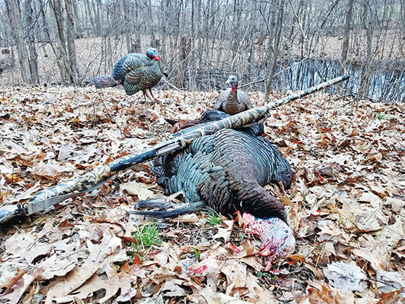 Ryan Rothstein: Turkeys not cooperating? Hunt them like deer – Outdoor News