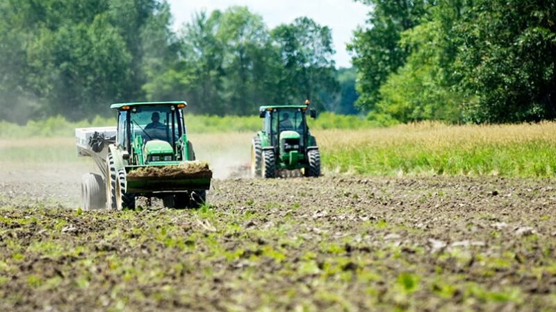 Sharecropping continues on state land in Michigan; here’s how it works for wildlife – Outdoor News