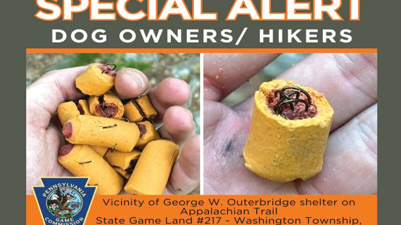 Still no arrests in case of embedded fishhooks found in dog treats planted on Pennsylvania game land – Outdoor News