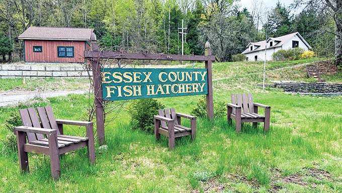 Stocking numbers reduced as New York’s Essex County fish hatchery faces wastewater issue – Outdoor News
