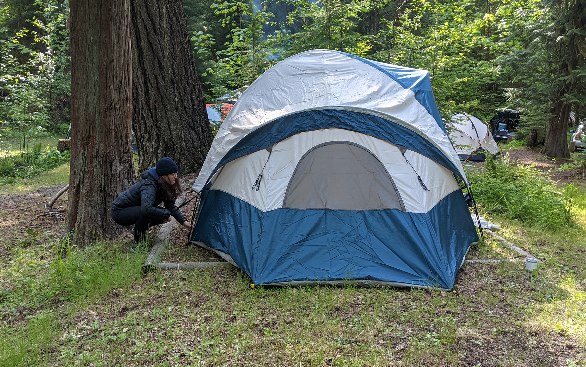 The Wenzel is set up near a tree.