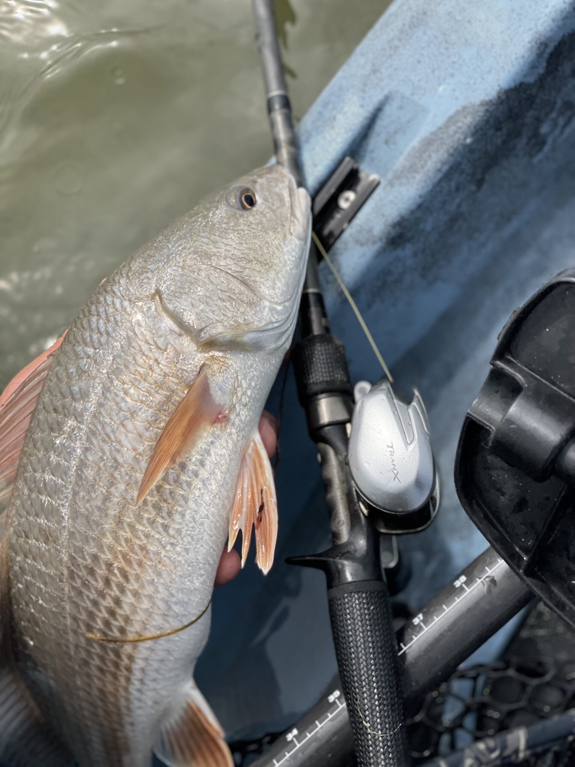 Author tests rods and reels inshore.