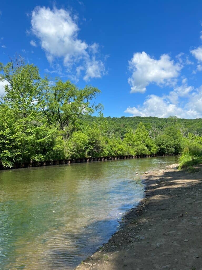 The Genesee River is a short walk from Trout Run.