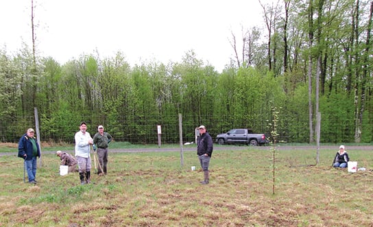 Volunteers with Ruffed Grouse Society help complete spring planting for wildlife in Pennsylvania – Outdoor News