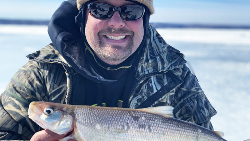 Whitefish, an important native food source from the Great Lakes, facing challenges – Outdoor News