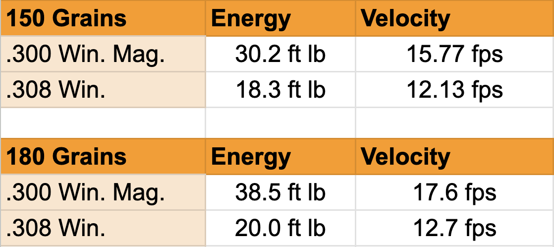 .308 vs. .300 Win Mag