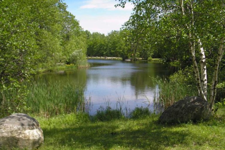 Nestled at 1,350 feet in the foothills of the Berkshires in Western Massachusetts, Prospect Mountain Campground offers a peaceful family atmosphere for campers of all kinds.