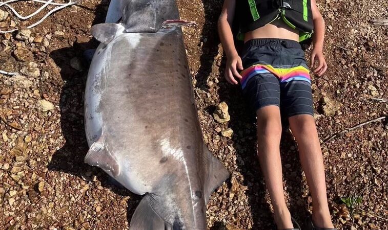 Arkansas Fisherman Catches New State-Record Paddlefish by Accident