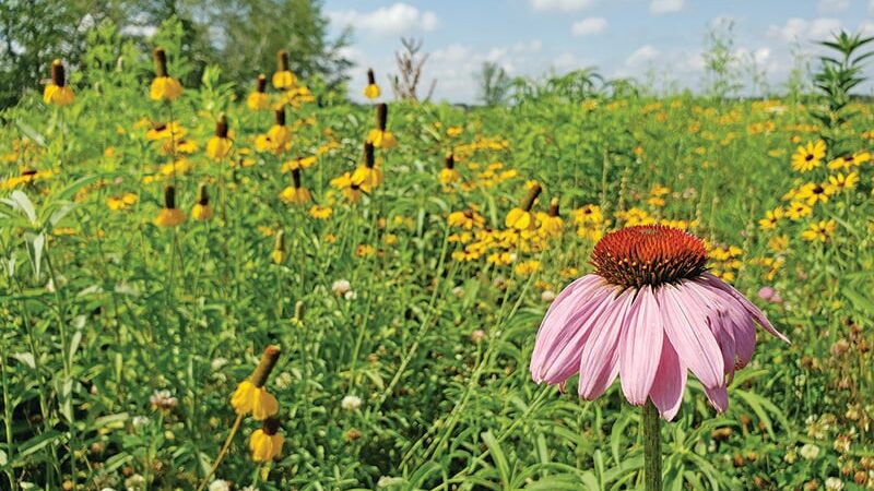 Commission allows expanded fracking on Ohio public lands – Outdoor News