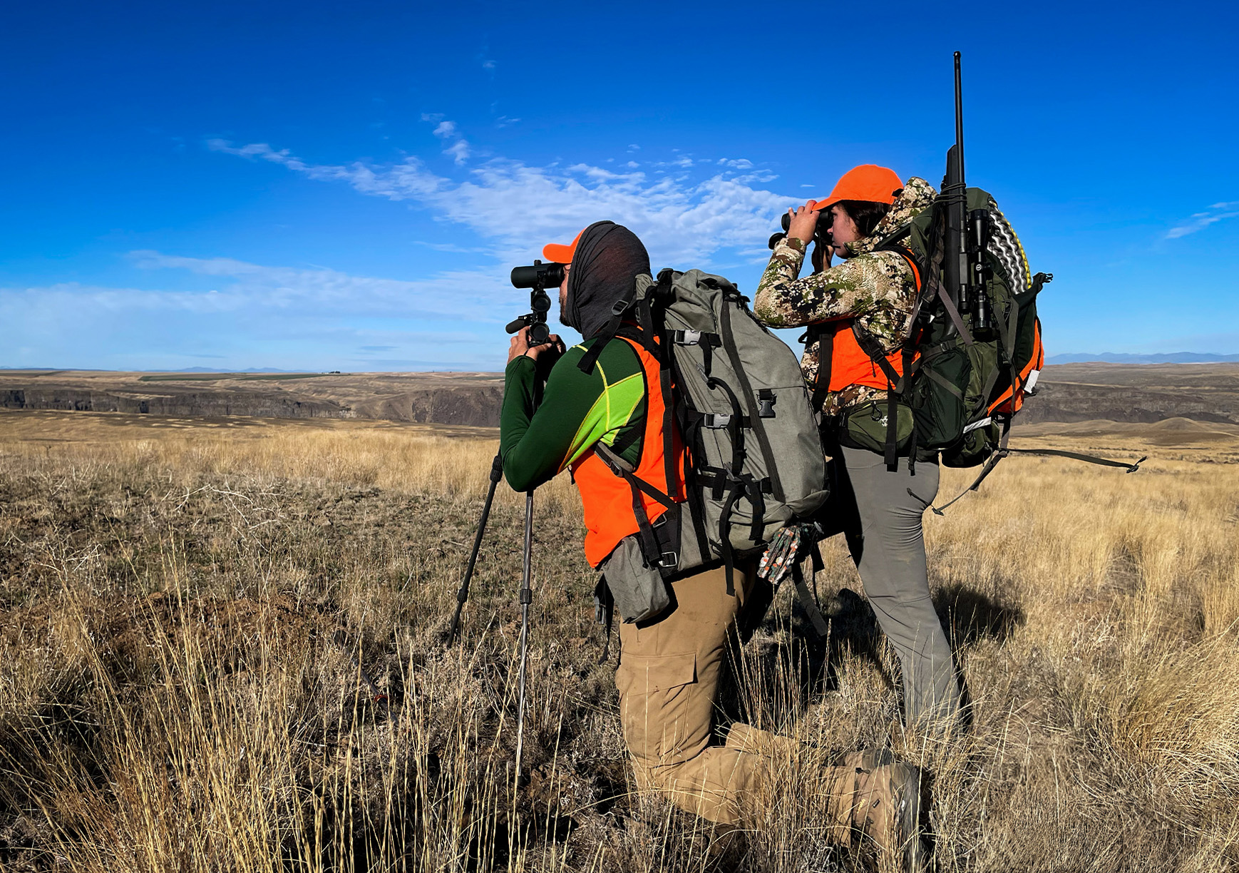 Two hunters glass for mule deer.