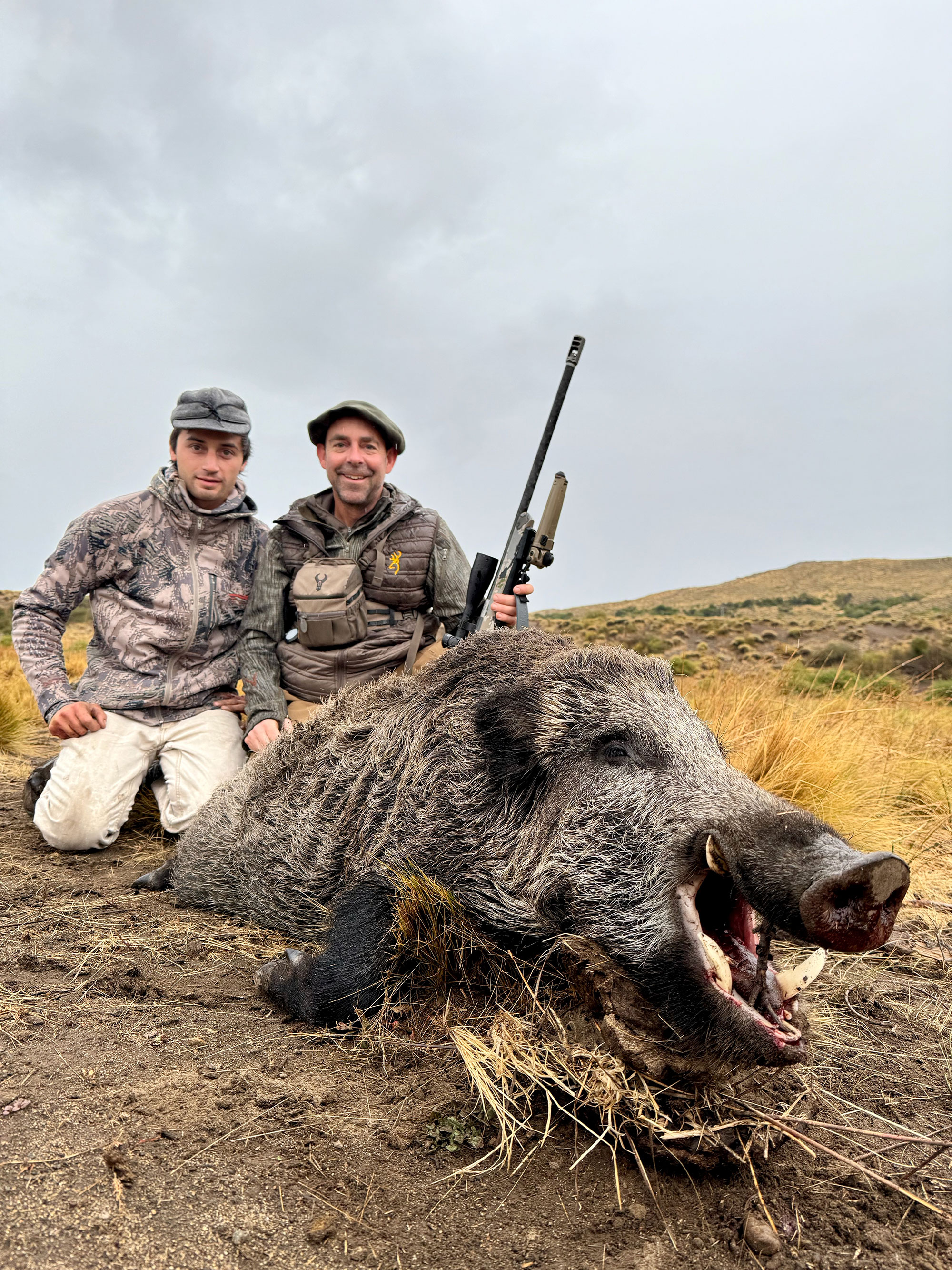 boar argentina