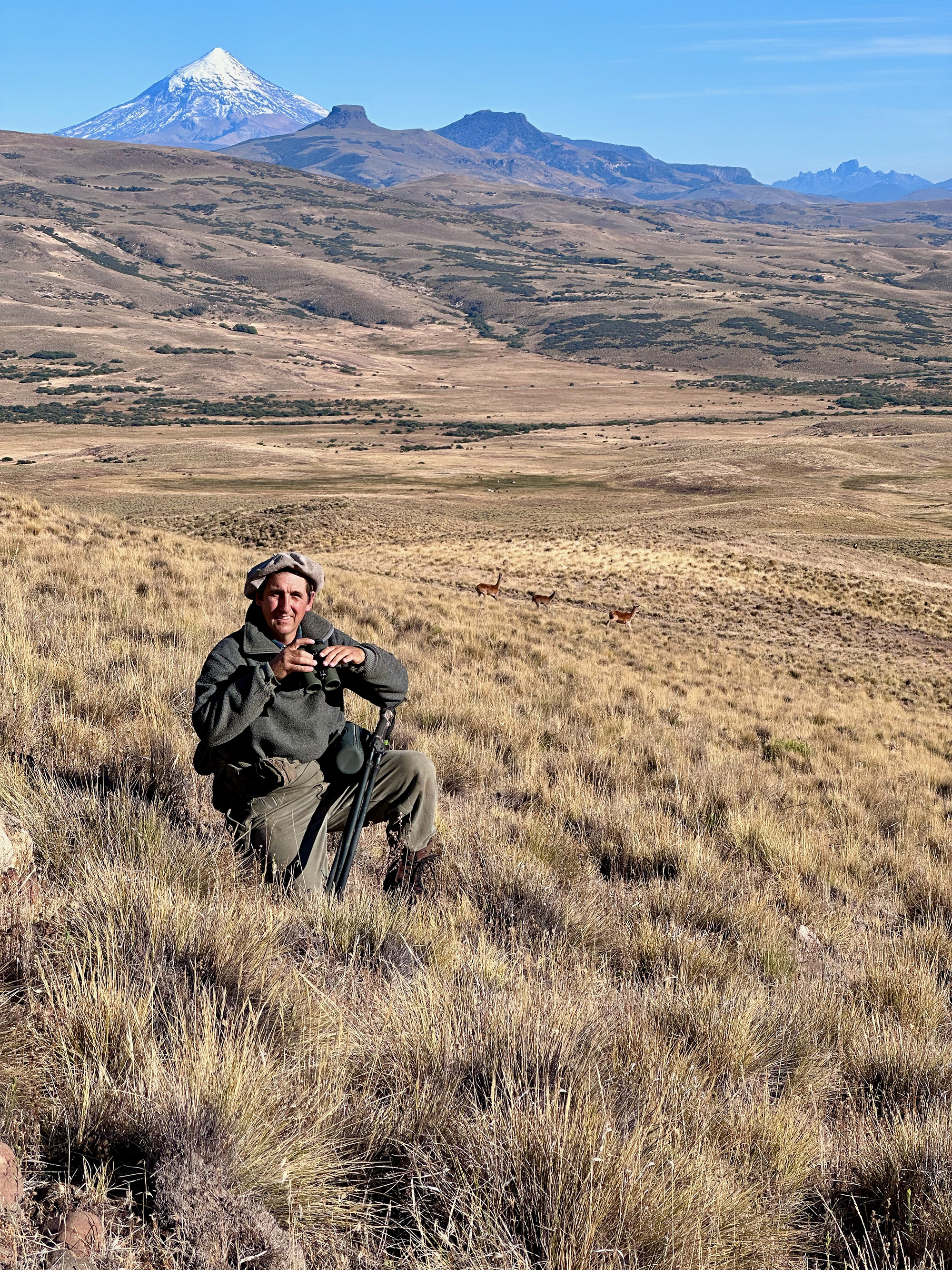 red stag argentina