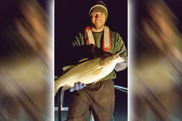 Hybrid striped bass can be found in many Ohio waters, and certainly earn their hard-fighting reputation – Outdoor News