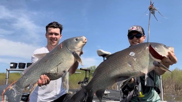 Interested in bowfishing? Conditions this June make it a good time to try in Minnesota – Outdoor News