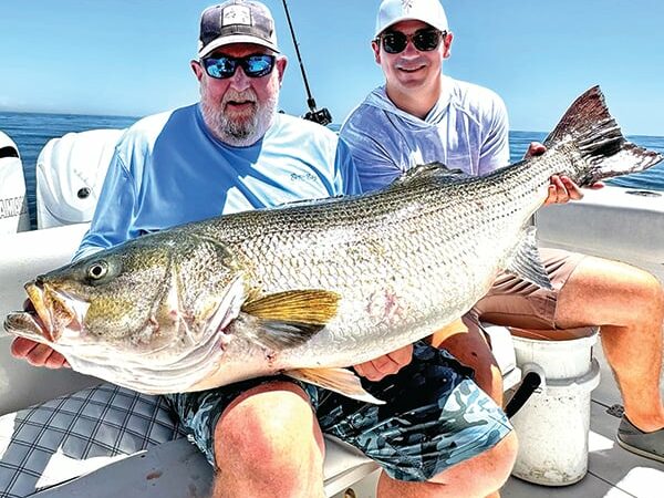 Nearly 61-pound striped bass is biggest in tournament history at New York’s 23rd Manhattan Cup – Outdoor News