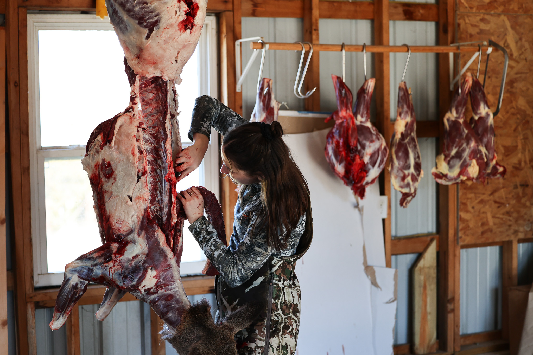 A hunter butchers a deer hanging from a gambrel.