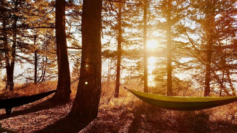Sleeping Outdoors in a Hammock Saved This Man’s Health