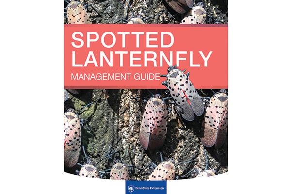 Spotted lanternfly eggs hatching now across Pennsylvania – Outdoor News