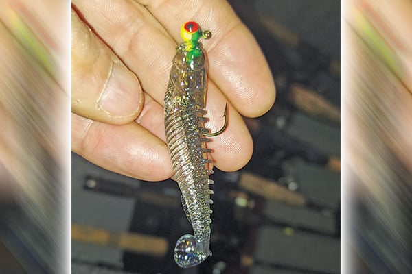 Steve Carney: With innovation, the swimbait has become a go-to these days – Outdoor News