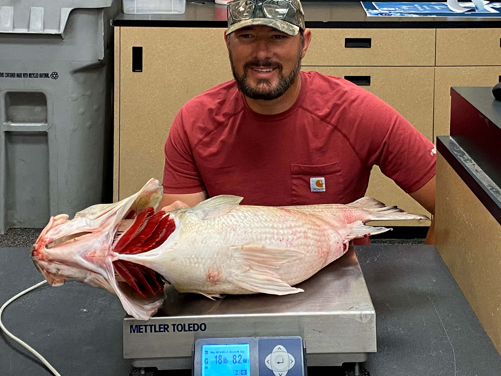 An angler weighing a fish.