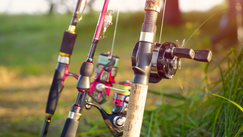 The Best Bass Fishing Tips for Beginners