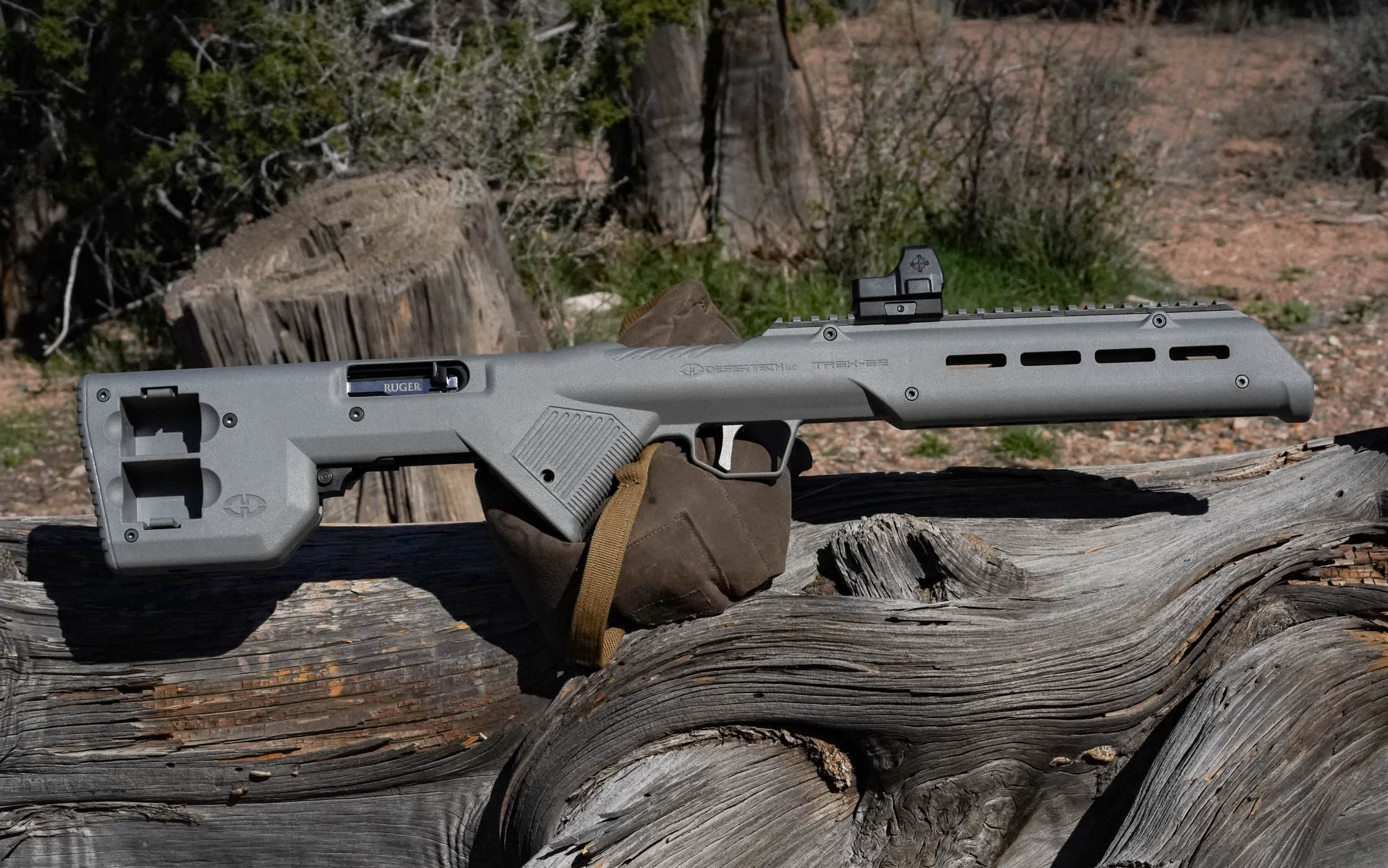 The bullpup 10/22 stock