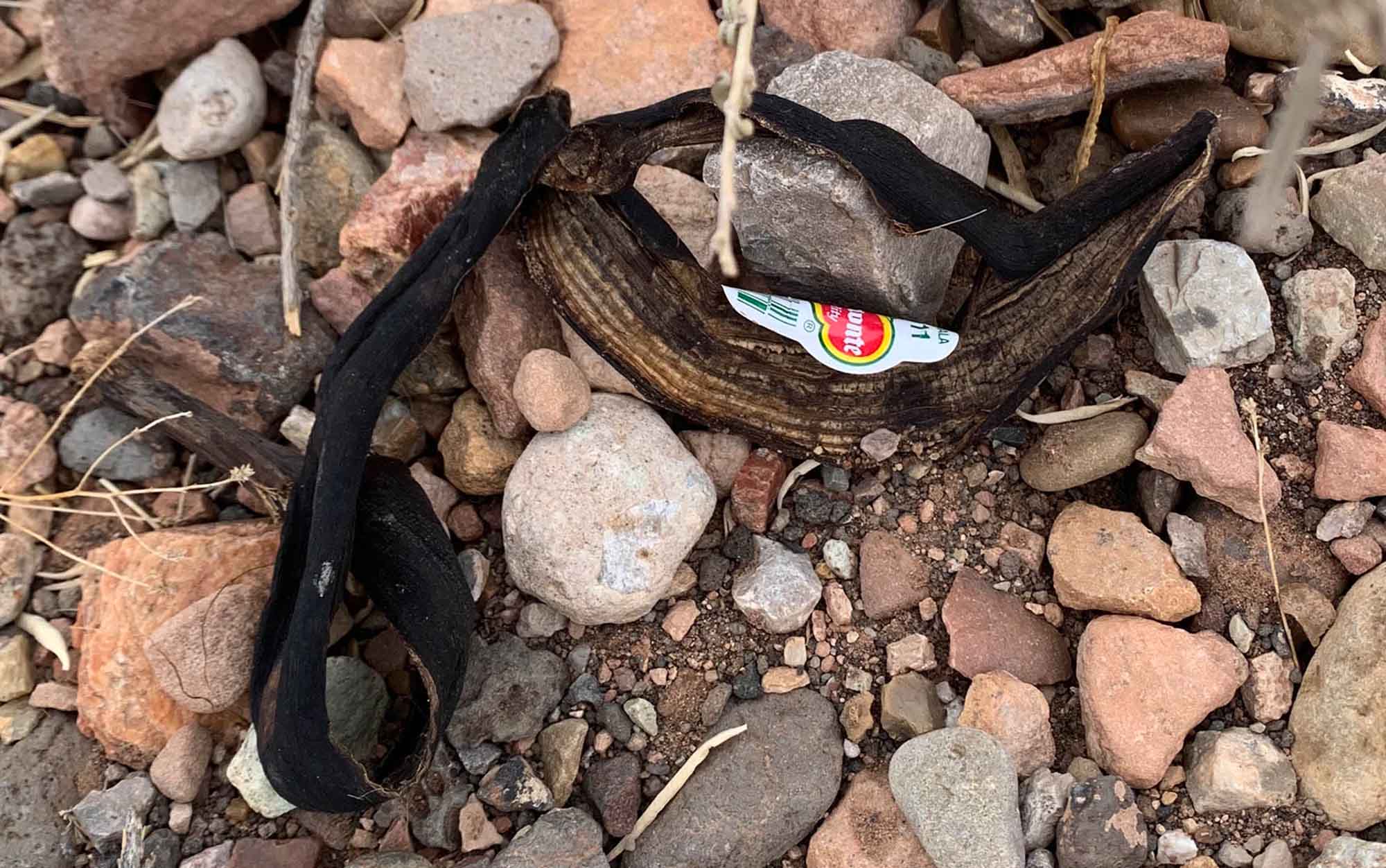 A banana peel sits on a trail.