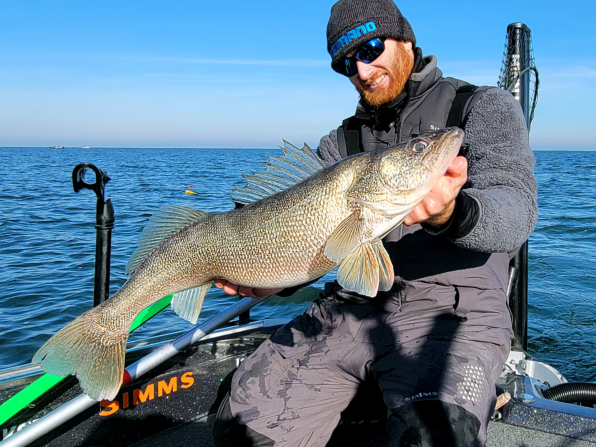 angler holds walleye